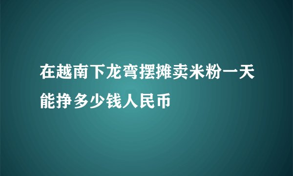 在越南下龙弯摆摊卖米粉一天能挣多少钱人民币