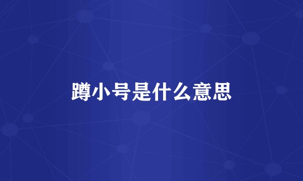蹲小号是什么意思