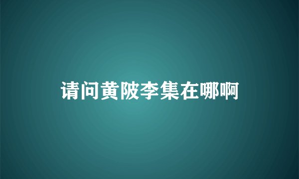 请问黄陂李集在哪啊