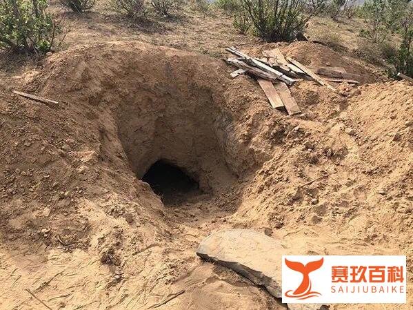 俄罗斯母亲去世5天，儿子抱着遗体追随，陕西79岁母亲被儿子活埋！这到底是怎么了？
