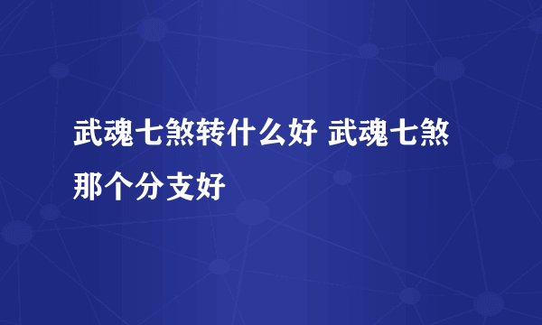 武魂七煞转什么好 武魂七煞那个分支好