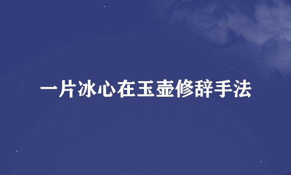 一片冰心在玉壶修辞手法