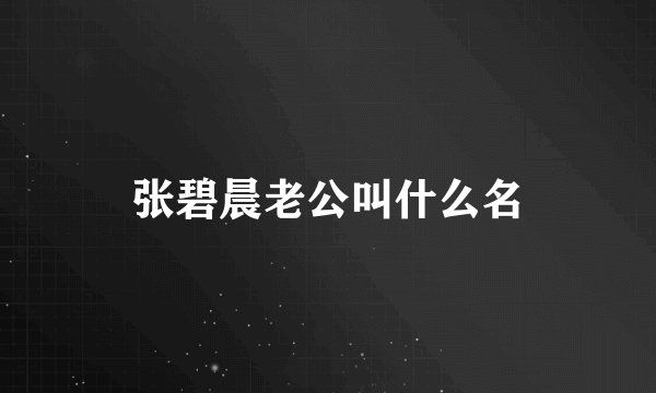 张碧晨老公叫什么名