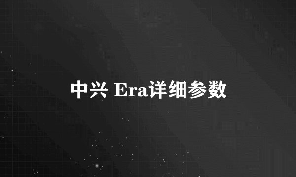 中兴 Era详细参数