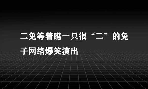 二兔等着瞧一只很“二”的兔子网络爆笑演出