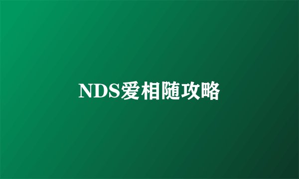 NDS爱相随攻略