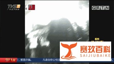 病死猪肉在正规肉联厂“洗白”，每日流入市场上千斤，涉案人已被抓