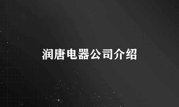 润唐电器公司介绍