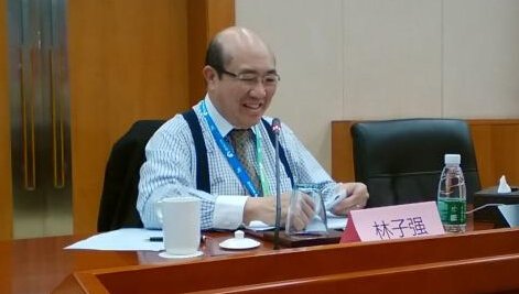 林子强的生平简介