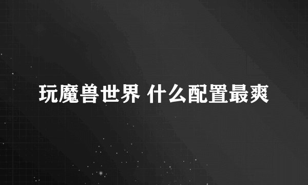玩魔兽世界 什么配置最爽