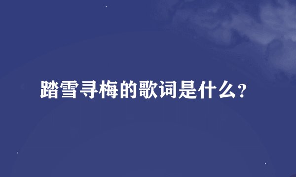 踏雪寻梅的歌词是什么？
