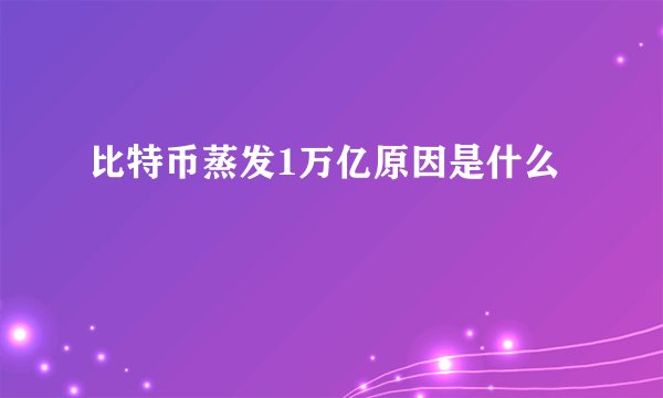 比特币蒸发1万亿原因是什么