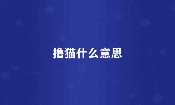 撸猫什么意思