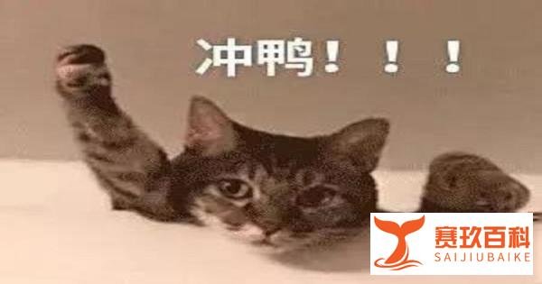 明清两代状元写的字有多绝?想练出一手好字,掌握这3点就够了!