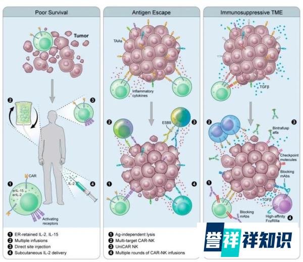 无所不“CAR”：CAR-NK