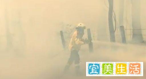 搬起石头砸自己脚,澳大利亚的“紧急状态”,一言难尽...