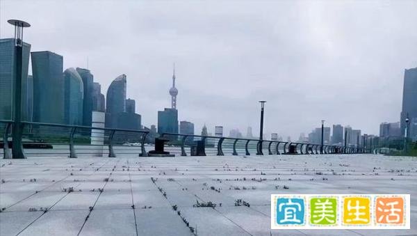 上海“外滩长草”引热议，不求真务实盲目辟谣，越辟越谣