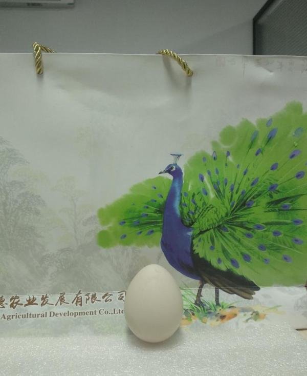 孔雀大王邓德养殖孔雀身家上亿却不忘回报社会