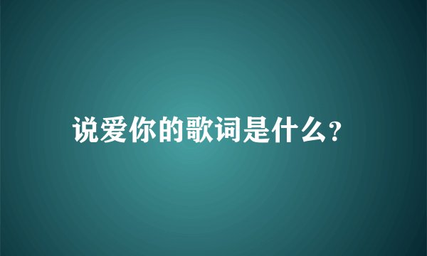 说爱你的歌词是什么？