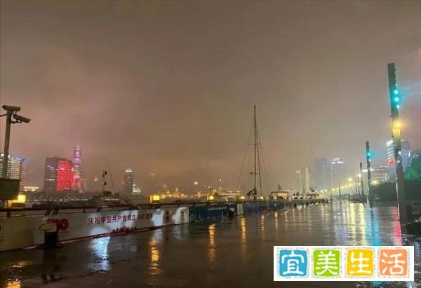 上海“外滩长草”引热议，不求真务实盲目辟谣，越辟越谣