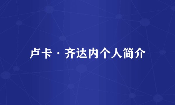 卢卡·齐达内个人简介