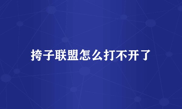 挎子联盟怎么打不开了