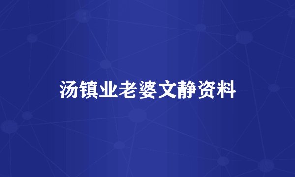 汤镇业老婆文静资料