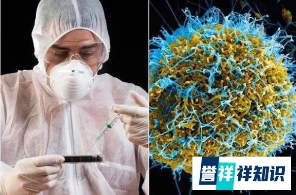 埃塞俄比亚爆发神秘传染病！发病症状为眼睛、嘴巴、肛门流血