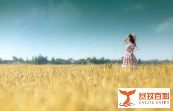所有的为时已晚，都是恰逢其时：致2023年的最后一个月