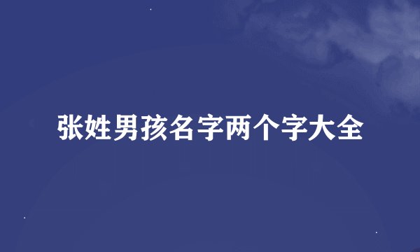 张姓男孩名字两个字大全