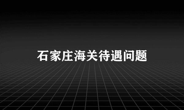 石家庄海关待遇问题