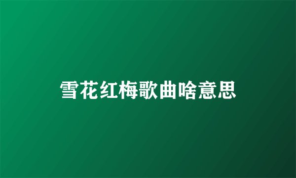 雪花红梅歌曲啥意思
