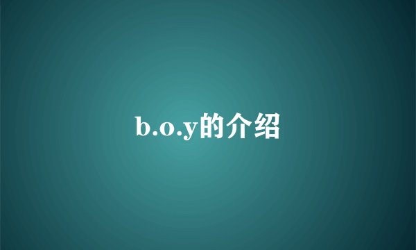 b.o.y的介绍