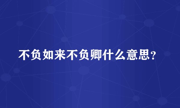 不负如来不负卿什么意思？