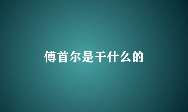 傅首尔是干什么的