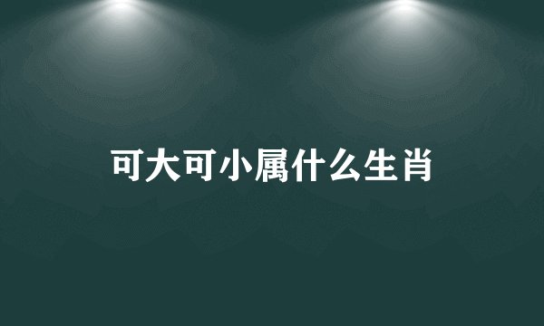 可大可小属什么生肖