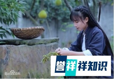李子柒被越南博主抄袭，律师竟称维权很难。。