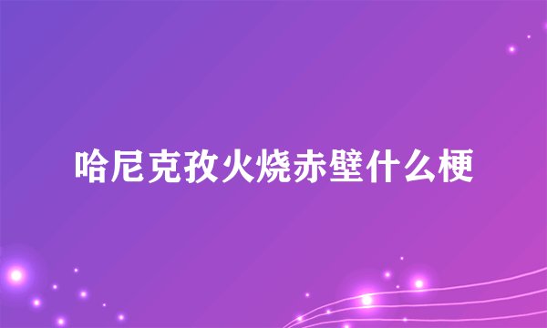 哈尼克孜火烧赤壁什么梗