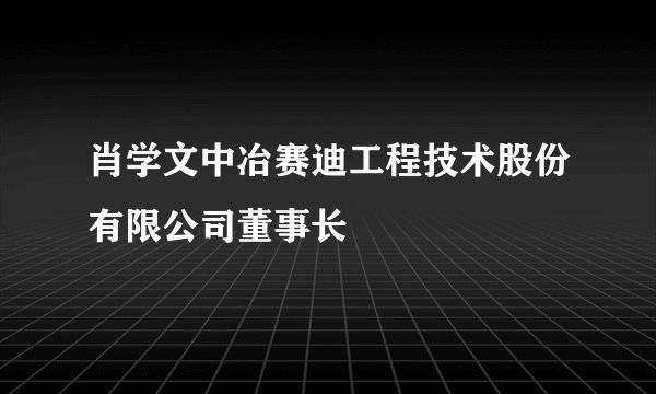 肖学文中冶赛迪工程技术股份有限公司董事长