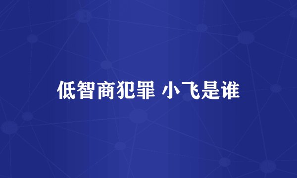 低智商犯罪 小飞是谁