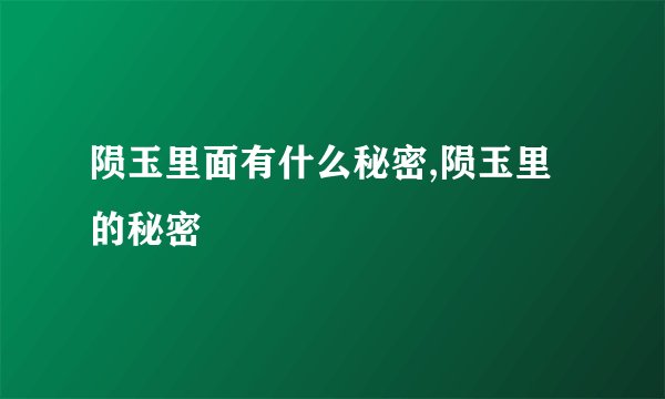 陨玉里面有什么秘密,陨玉里的秘密