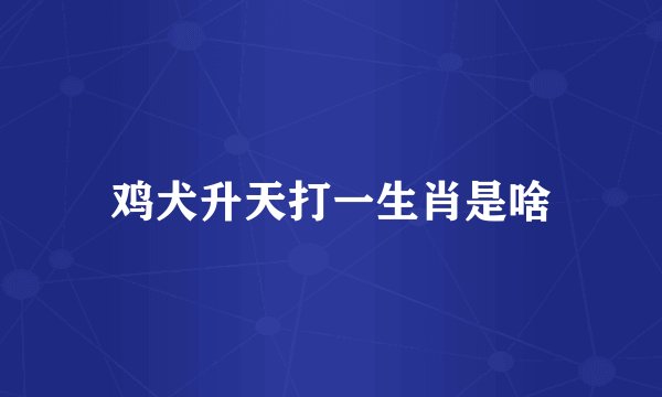 鸡犬升天打一生肖是啥