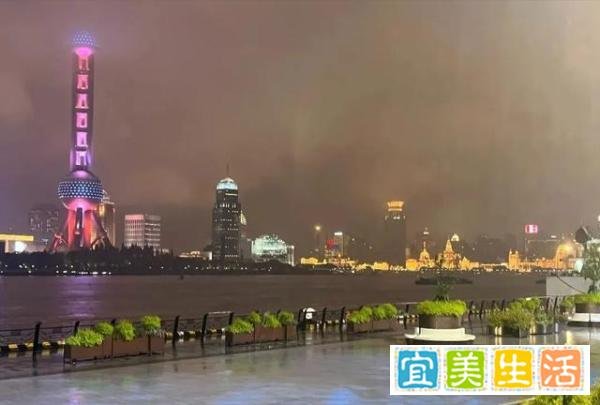 上海“外滩长草”引热议，不求真务实盲目辟谣，越辟越谣