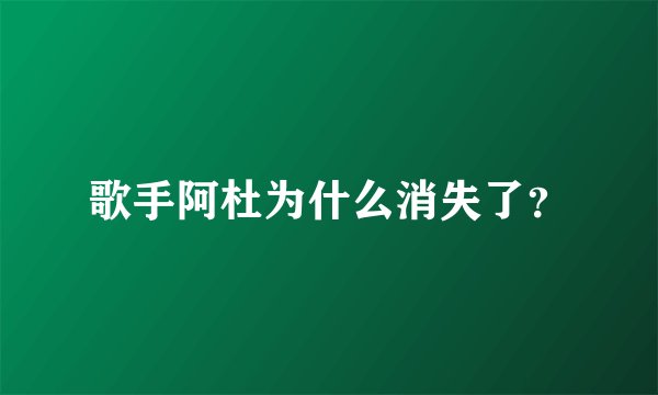 歌手阿杜为什么消失了？