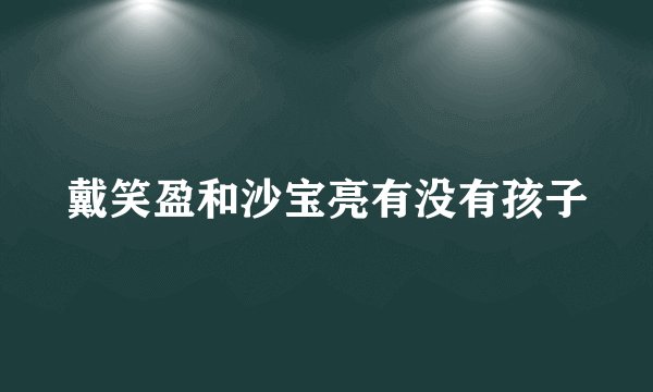 戴笑盈和沙宝亮有没有孩子