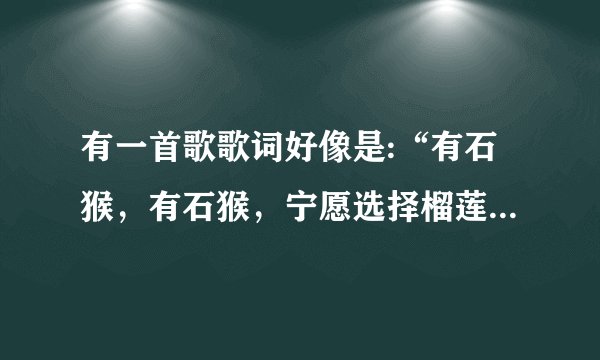 有一首歌歌词好像是:“有石猴，有石猴，宁愿选择榴莲不放手”说孙悟空的。