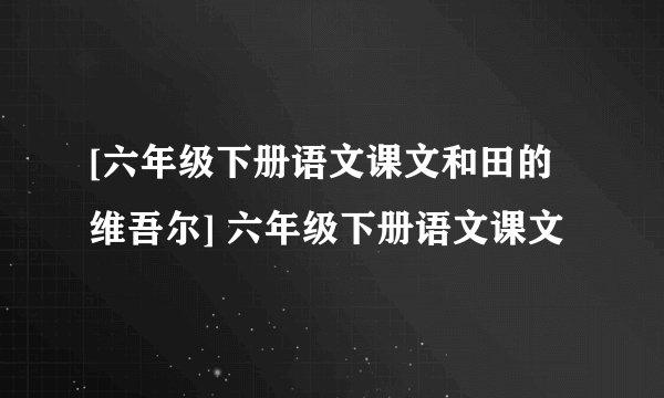 [六年级下册语文课文和田的维吾尔] 六年级下册语文课文