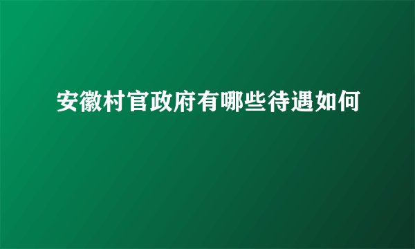 安徽村官政府有哪些待遇如何