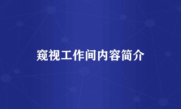 窥视工作间内容简介
