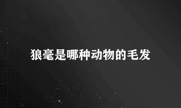 狼毫是哪种动物的毛发